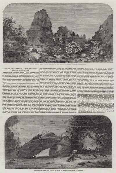 Le Vivarium Aquatique aux Jardins Zoologiques, Regent